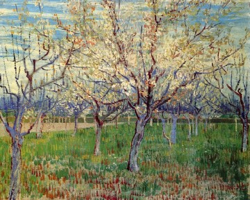  rico Lienzo - Huerto con albaricoqueros en flor paisaje de Vincent van Gogh